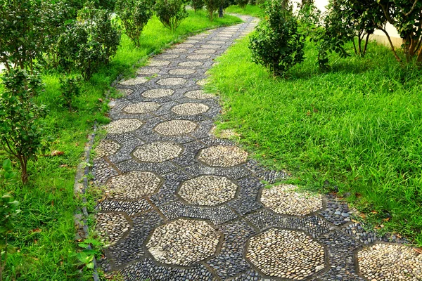 Path in park — Stock Photo, Image