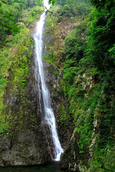 Лесной водопад — стоковое фото