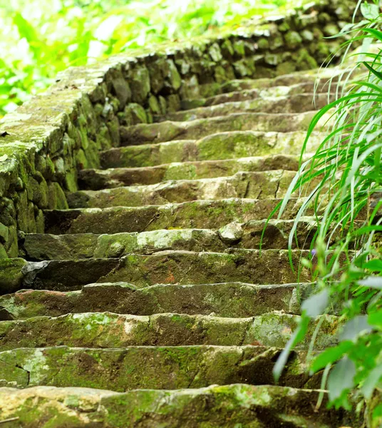 屋外の石造りの階段 — ストック写真