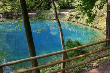 Mavi ot blaubeuren gölde denir