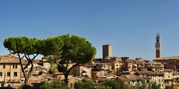 Siena, Toskania — Zdjęcie stockowe