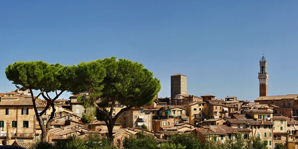 stock image Siena, Tuscany