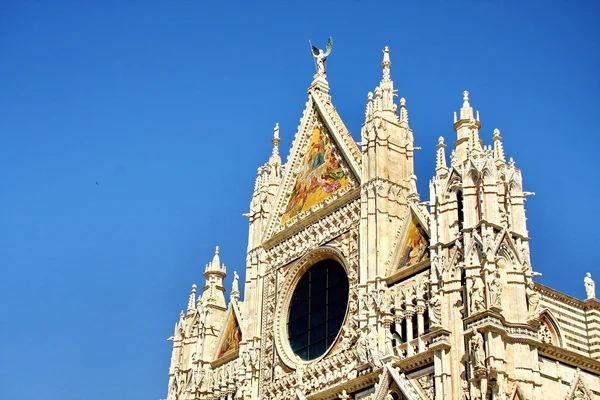 Katedralen i Siena – stockfoto