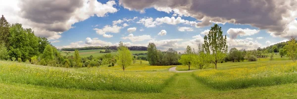 stock image Summer meadow