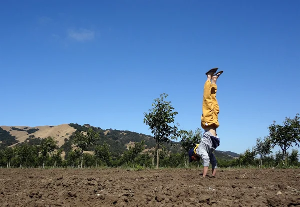 Homme debout dans le champ de culture en Californie — Photo