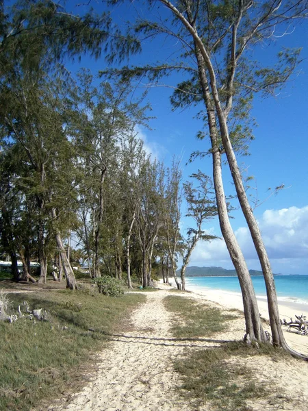 Caminho de areia na praia de Waimanalo — Fotografia de Stock