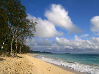 Waimanalo Beach on Oahu, Hawaii clipart