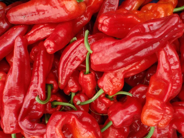 Pimentas quentes vermelhas exibidas — Fotografia de Stock