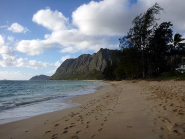 oahu, hawaii plajda Waimanalo