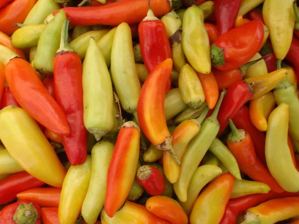 Hot Peppers of a varity of colors — Stock Photo, Image