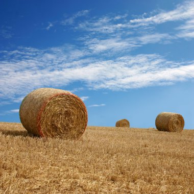 Straw Bales clipart