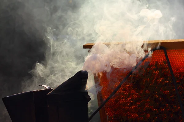 Fumaça no apiário — Fotografia de Stock