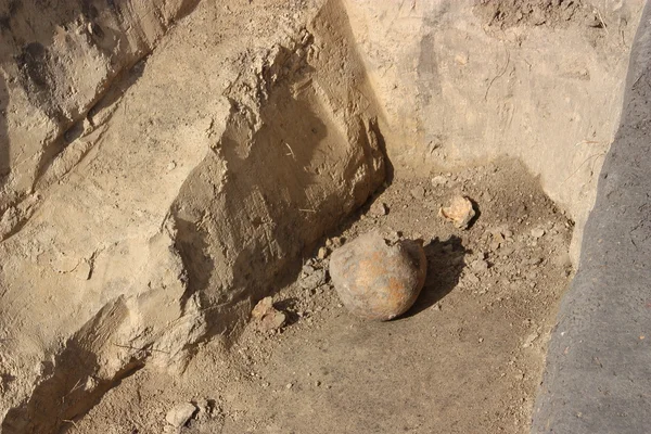 stock image Human skull. Eleventh century.