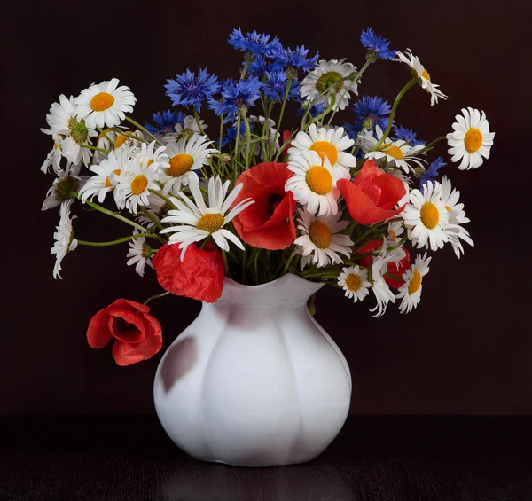 Divoké květiny Stock Fotografie