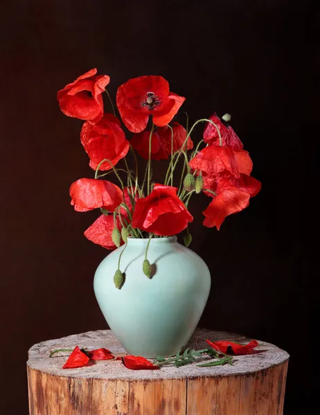 stock image Poppies