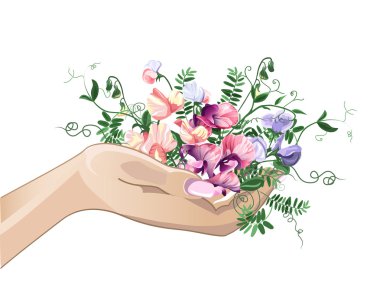 Hand and sweet pea flowers clipart