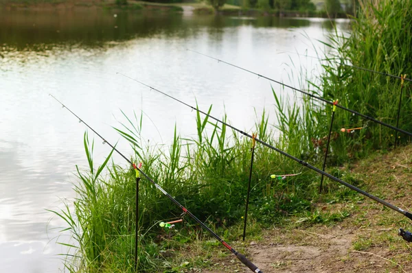 stock image Fishing on the lake