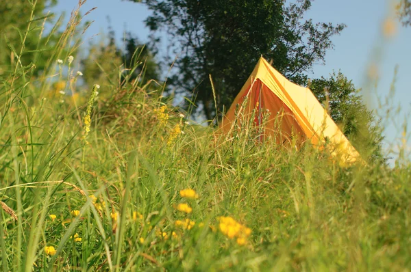 Желтая палатка Стоковое Изображение