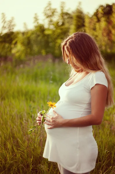 Красивая беременная женщина отдыхает в парке Стоковое Изображение
