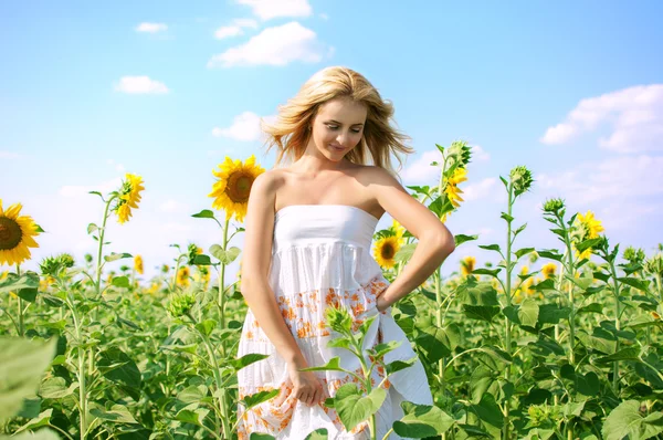 Young beautiful woman on field in summer — Stock Photo, Image