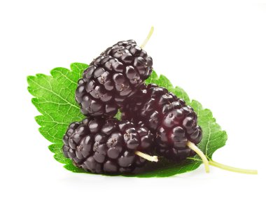 Mulberries clipart