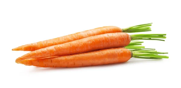 stock image Fresh carrots