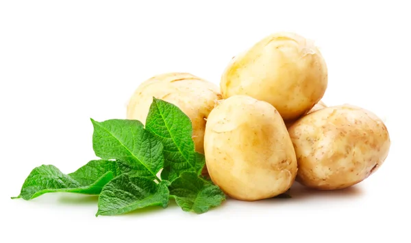 stock image Ripe potatoes