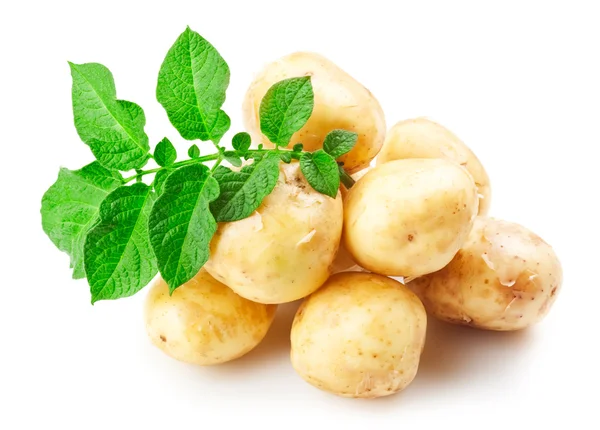 Patatas maduras — Foto de Stock