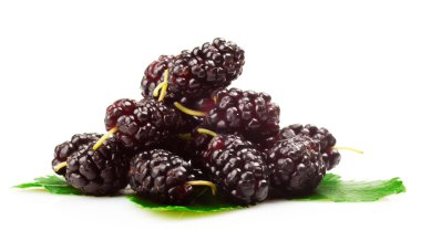 Mulberries clipart