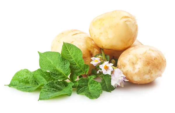 Stock image Potatoes