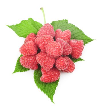 Fresh raspberry clipart