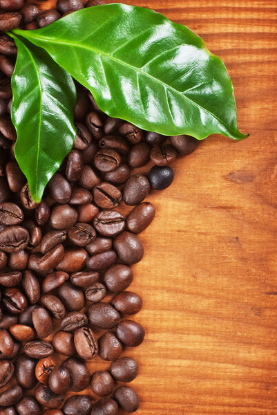 Coffee Beans