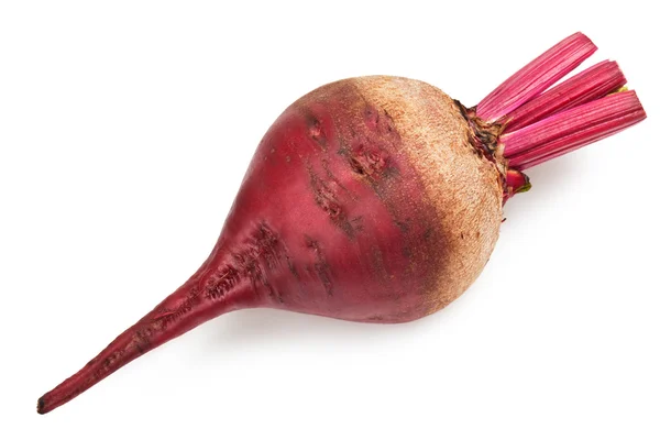 stock image Beet