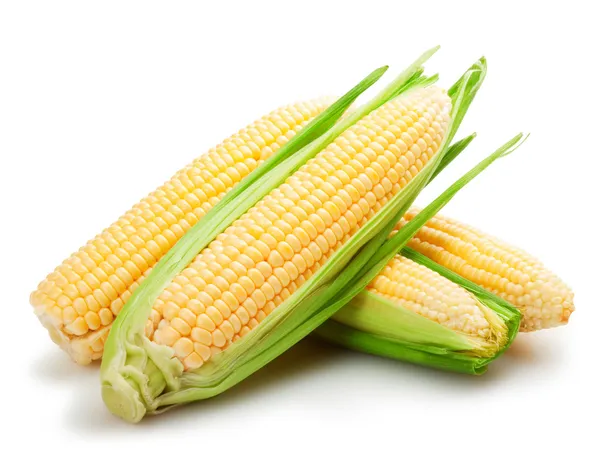 Verse maïs vruchten — Stockfoto