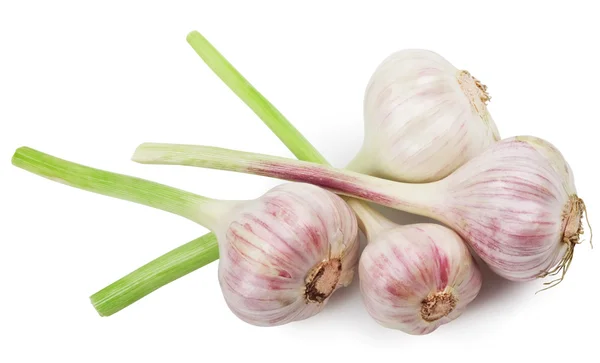 Garlics izolované — Stock fotografie