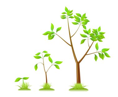 Plants. clipart