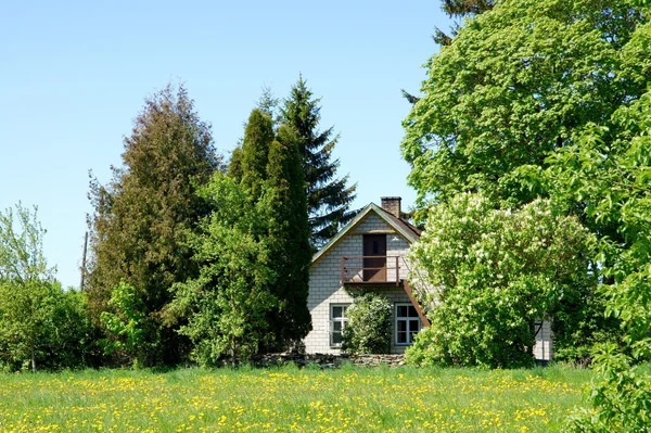 Dům a stromy — Stock fotografie