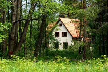 The house in forest clipart