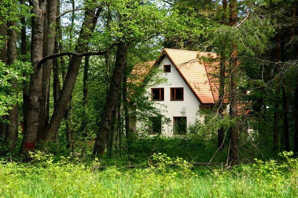 A casa na floresta — Fotografia de Stock
