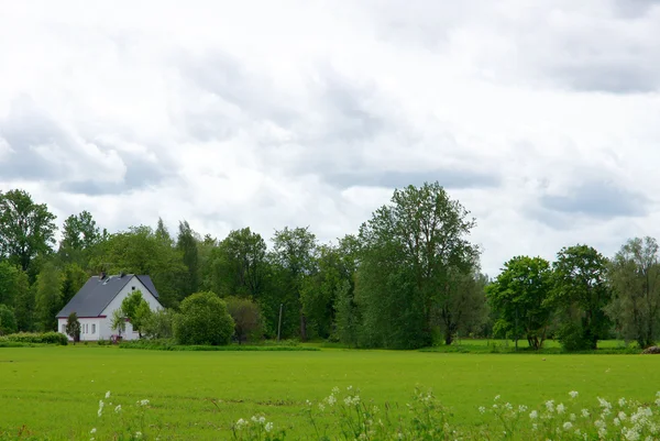 The house and field — Stock Photo, Image