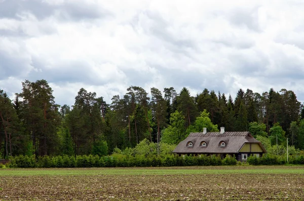 stock image Landscape with the house