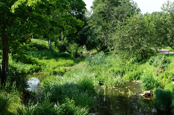 stock image Landscape