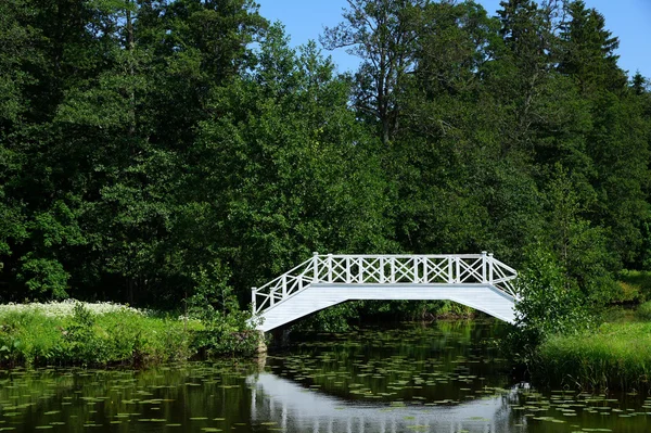 Göl ve köprü — Stok fotoğraf