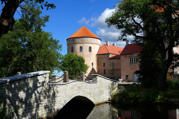 Château et pont — Photo