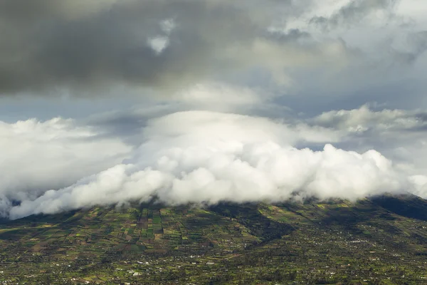 stock image Altitude Living