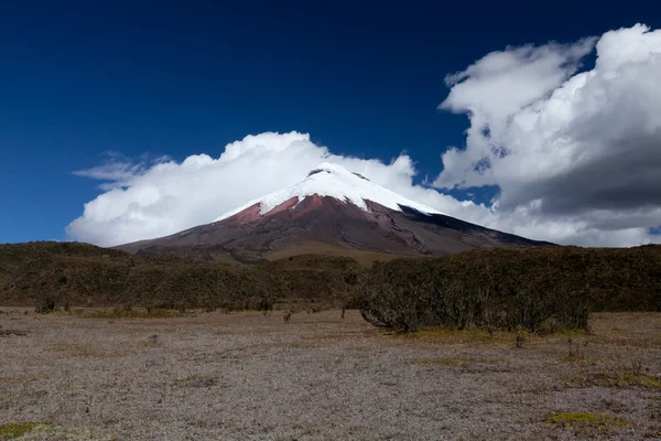 stock image Cotopaxi Volcano In Clouds