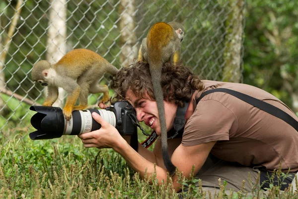 stock image Curiosity