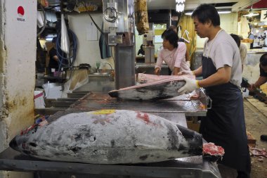 tsukiji balık pazarı