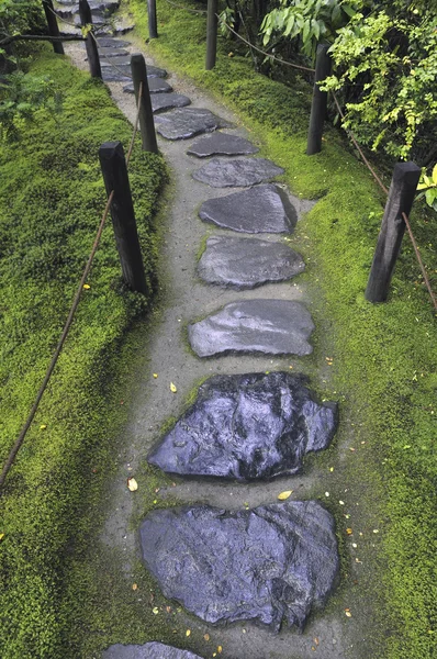 Mokré kamenná cesta — Stock fotografie