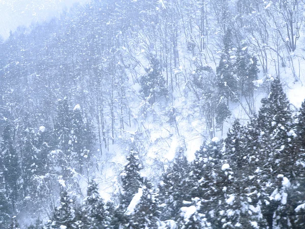 Snöfall i bergen — Stockfoto